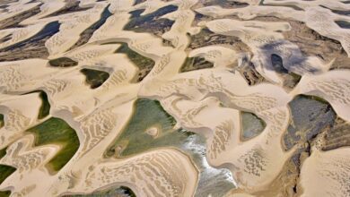 Lençóis Maranhenses: مساحة البرازيل المليئة بالكثبان الرملية والتي تقع عند تقاطع 3 مناطق حيوية
