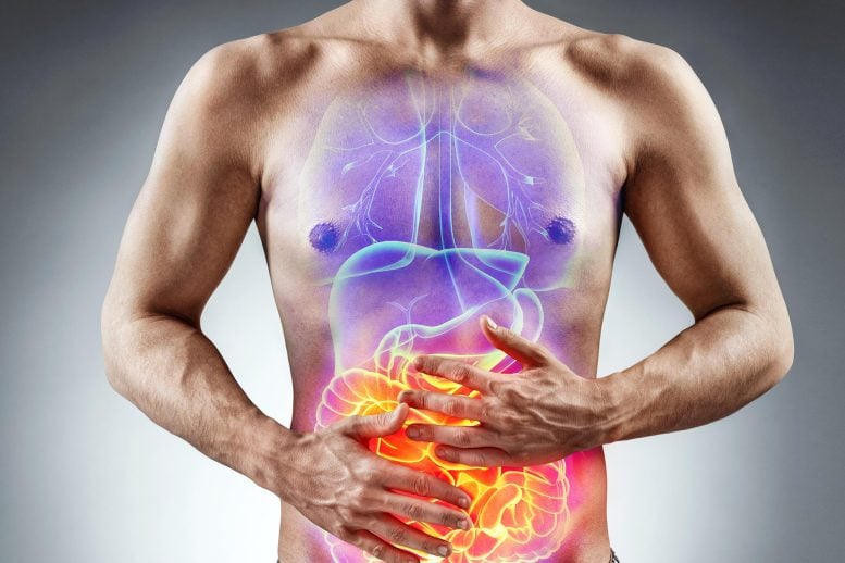 رجل آلام في المعدة متلازمة القولون العصبي IBS مرض التهاب الأمعاء IBD
