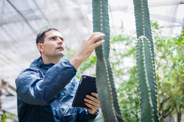 يتحدى هذا النبات المألوف فكرة طال أمدها من تشارلز داروين حول التطور