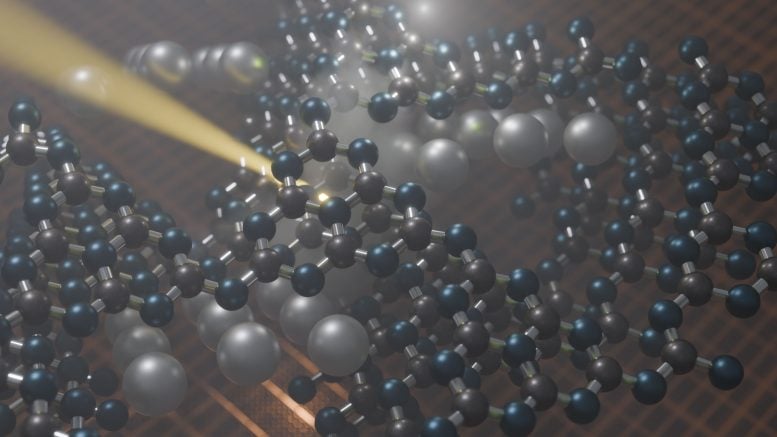 شبكة بوليمرية بوليهيبتازين إيميد مطلية بالفضة