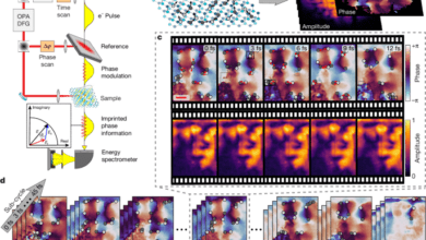 Superluminal correlations in ensembles of optical phase singularities