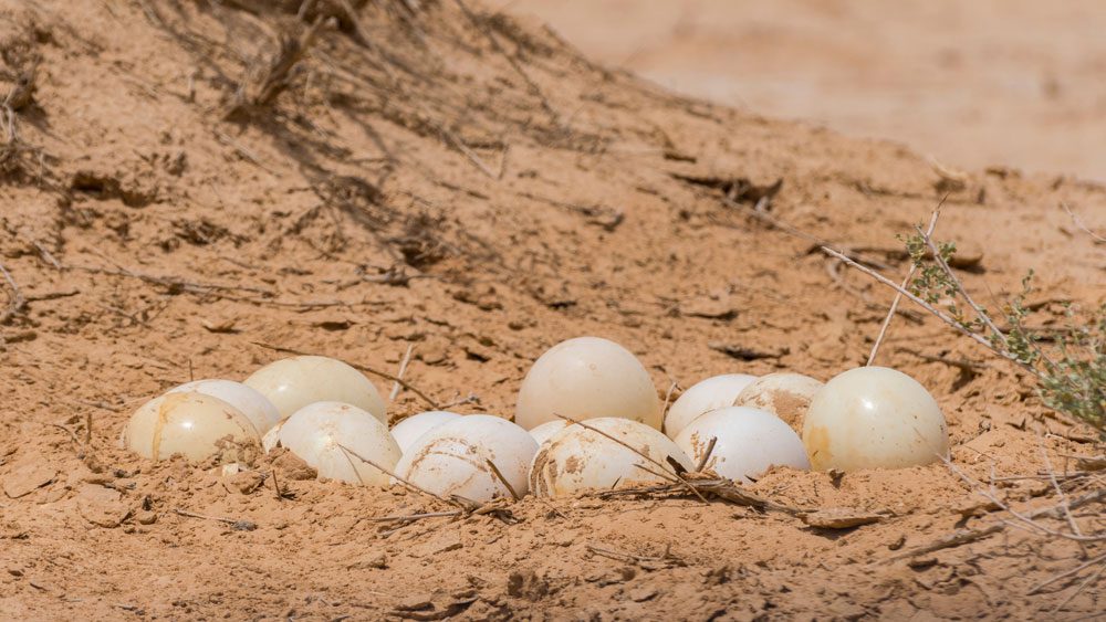 be7ca55e20163d7ced13af1a3261456e6b9ec5fd jpg