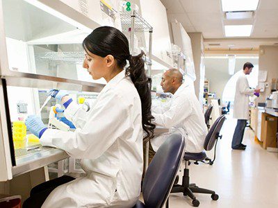 لماذا لا يعكس معدل النشر المرتفع دائمًا النجاح؟