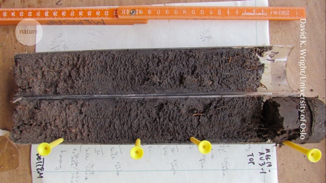 صورة توضيحية - كيف ترسم الملوثات والبراز ة للحضارات الماضية