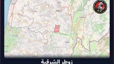 #عاجل تم رصد غارة جوية في لبنانالمناطق المتأثرة: زوطر الشرقية...