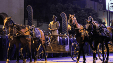 أحمس يتجول في شوارع مصر أول أيام العيد.. فيديو يثير تفاعلا