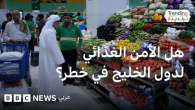 الأمن الغذائي الخليجي.. هل يتأثر بالحرب مع إيران وتعطل الشحن في مضيق هرمز؟
