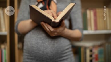 الأمومة تعرقل الحياة الأكاديمية للنساء