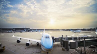 الجزائر تحدث أسطولها الجوي باقتناء 10 طائرات بوينغ 737 ماكس 8