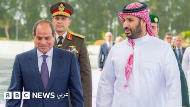 الحرب على إيران: هل تخلت مصر عن مساعدة الخليج؟
