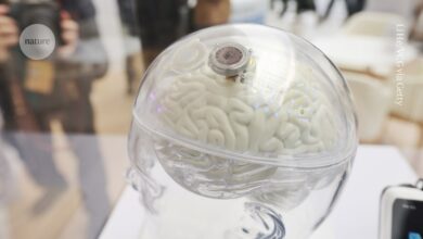 الصين توافق على شريحة دماغية لعلاج الشلل – وهي الأولى من نوعها في العالم