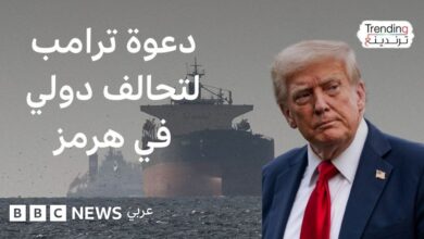 ترامب يطالب بحماية مضيق هرمز ويدعو لإرسال سفن حربية.. فكيف ردت الدول على مطالبه؟