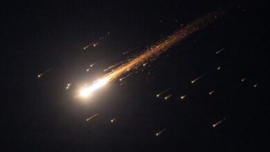 ترامب يمدد الموعد النهائي لتدمير محطة الطاقة الإيرانية مرة أخرى