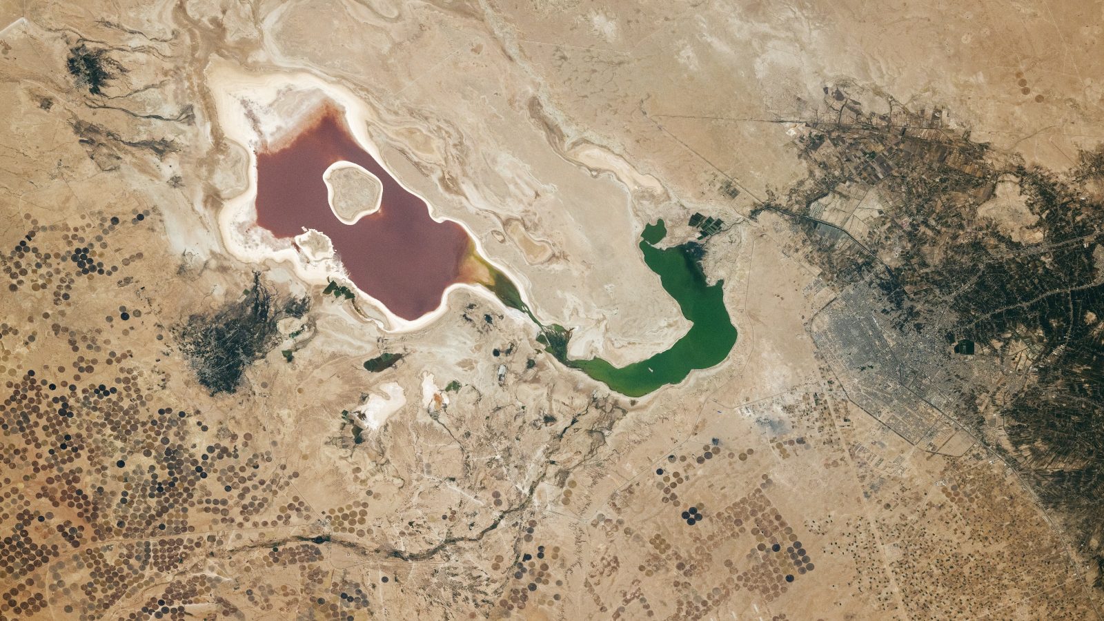 تظهر بحيرات شبحية ذات ألوان قوس قزح حول “المكان الأبيض العظيم” في ناميبيا – الأرض من الفضاء