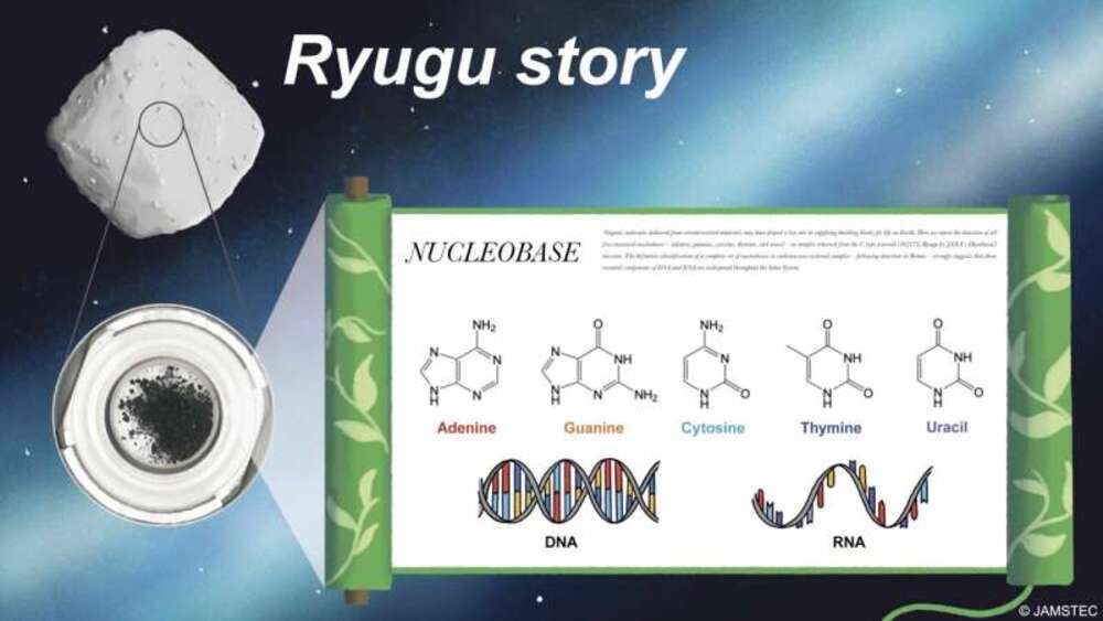 تم العثور على جميع الجزيئات الرئيسية للحمض النووي الريبي (DNA) والحمض النووي الريبي (RNA) على كويكب ريوجو (Ryugu).