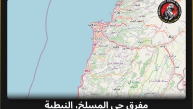 #عاجل تم رصد ضربة بطائرة مسيّرة في لبنانسيارة مستهدفة بضربة مسيرةالمناطق المتأثرة: مفرق حي المسلخ، النبطية…