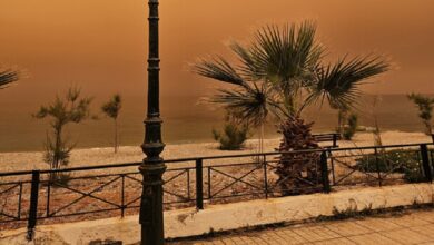 عاصفة رملية تجبر السياح الروس على مغادرة شواطئ مصر (فيديو)