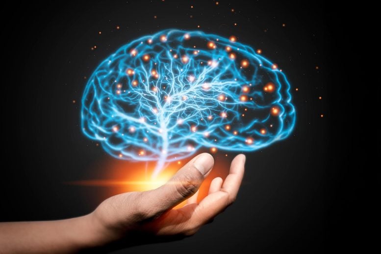 علاج الدماغ هذا لمدة 5 أيام يمنح الأشخاص المصابين بالاكتئاب أملًا جديدًا