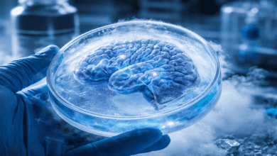 علماء يعيدون إحياء خلايا المخ بعد التجميد الشديد لأول مرة