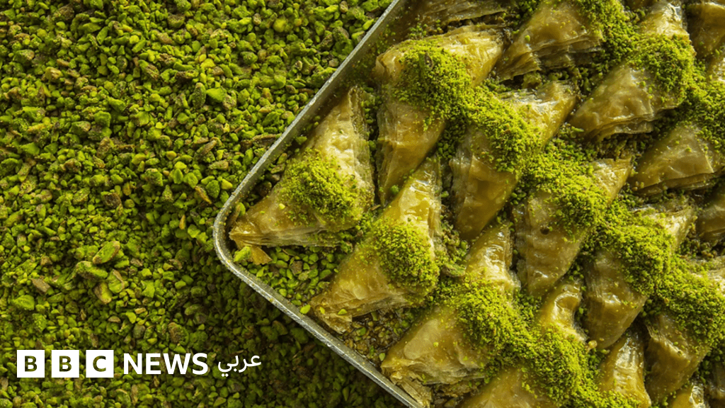 غازي عنتاب: المدينة التركية المبنية على “الذهب الأخضر”
