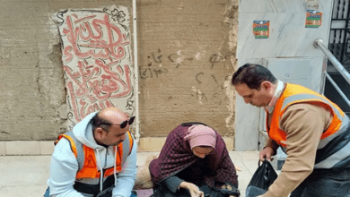 من الشارع لقصر الرئاسة.. الرئيس المصري يلتقي مهندسة نووية بعد قصة صادمة