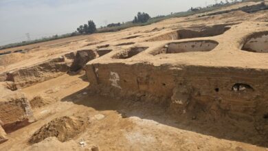 وفي مصر، تم اكتشاف دير عملاق يعود تاريخه إلى القرن الخامس في دلتا النيل