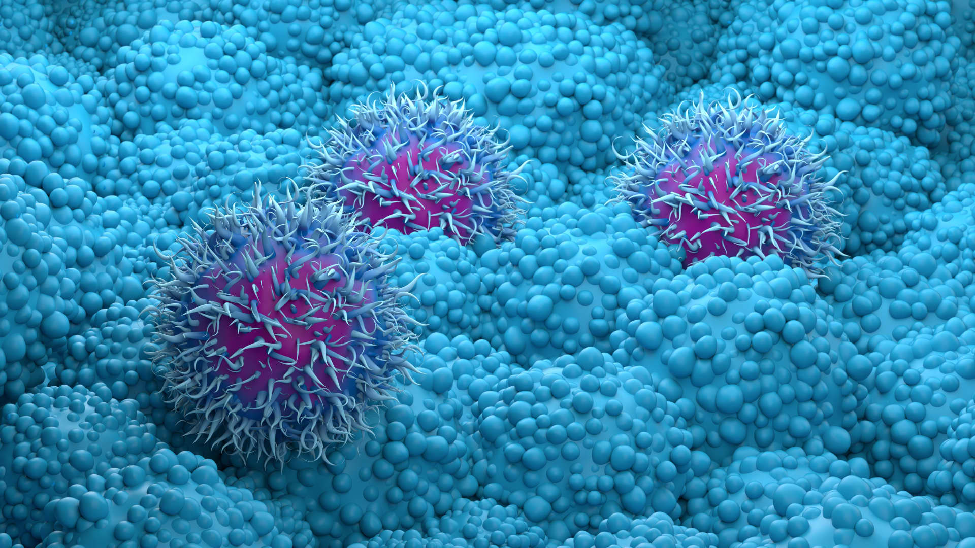 108290357 1776080530841 gettyimages 1836051960 f0402950 jpeg