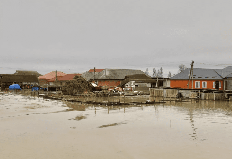 1775034924 69ccc23442360441bc2e47ba png