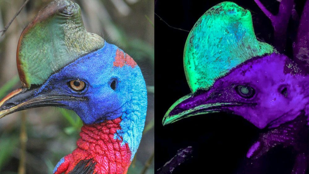 1775102431 b2b521752dbbe35fc177b31ba85dbc6a15fc68dc jpg