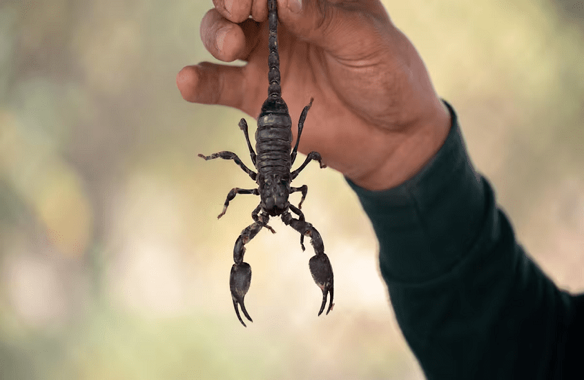 1775170837 69cedd4a4c59b72d4a0dd832 png