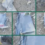 1775203226 26041101000372 Org jpg