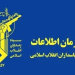 1775214918 26031101004962 Org jpg