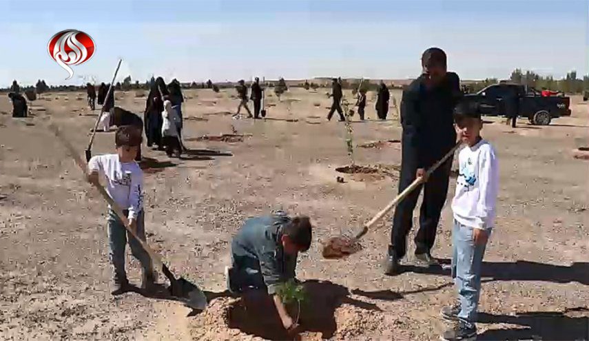 177521932047800000 jpg