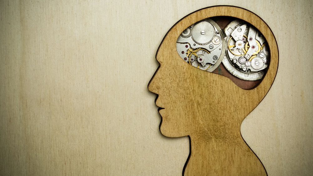 1775406620 e91bea1822c1f23c25eb888422b4de5a7230f3ac jpg