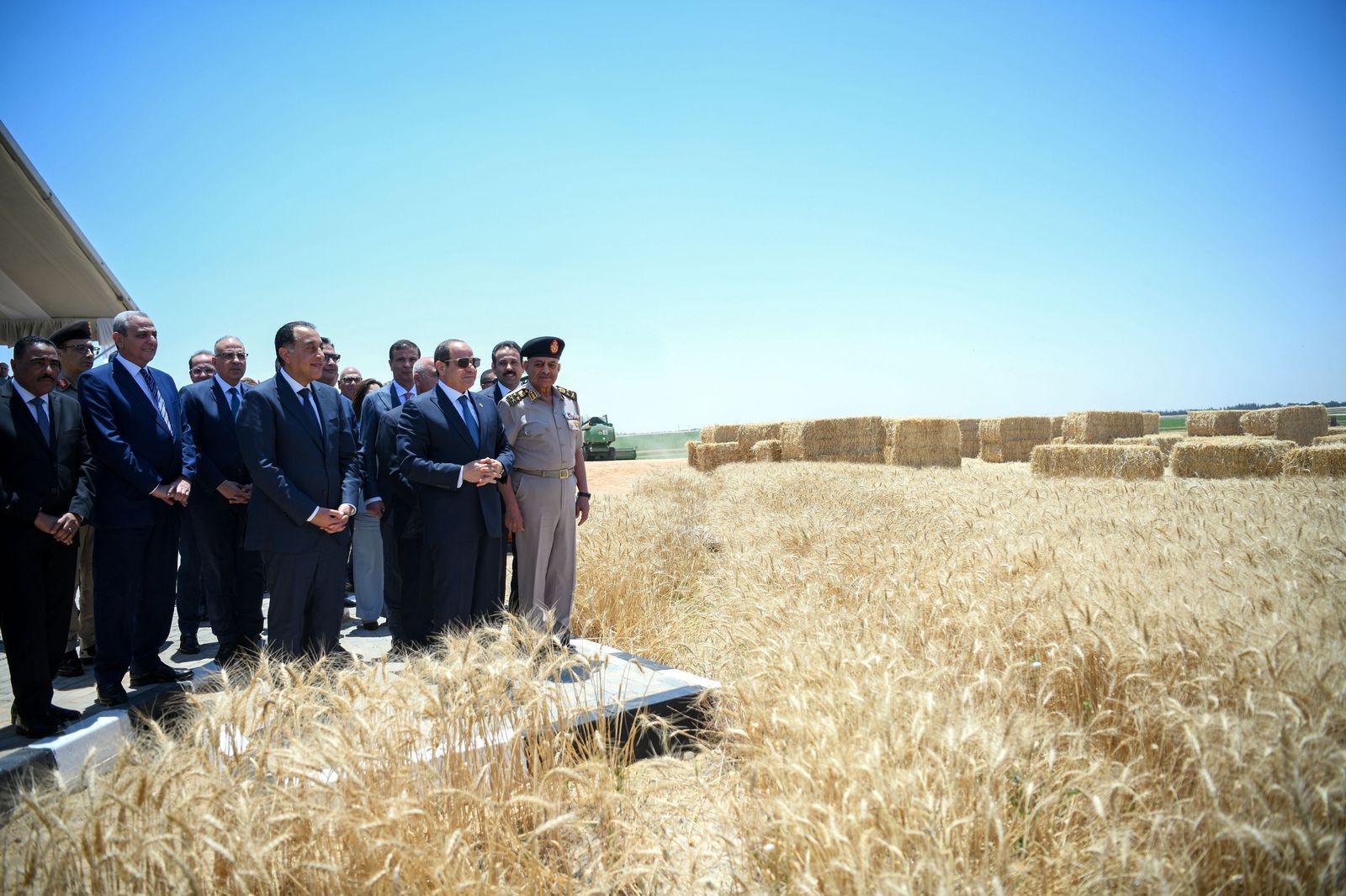 1775421921 69d2b71142360414824b71fb jpeg