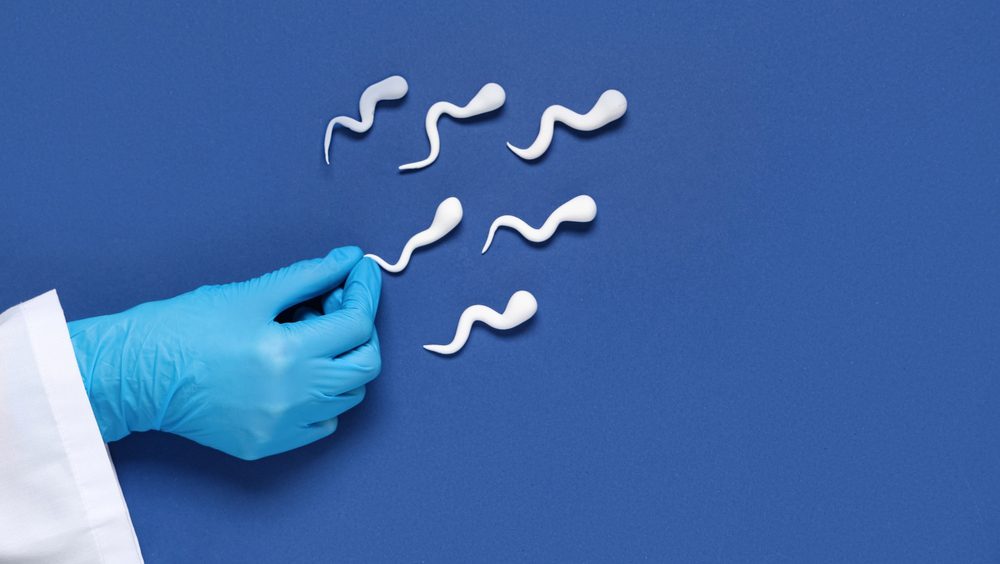 1775709021 38d2853db111e068c1ad93827aaaaa26d17a4e44 jpg