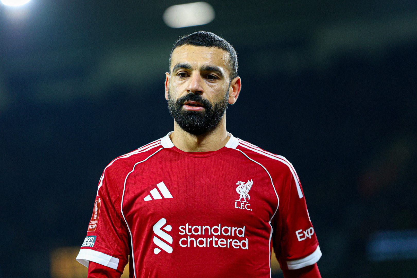 1775710845 69d72c2242360459805578b6 jpg