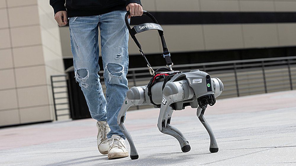 1775741425 8b73436aeed816491eb135e27b647695a86e48ca jpg