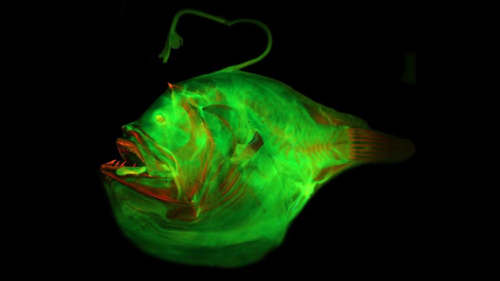 1775755820 9a99bb398ba6e6828bda08d444c7b1c2604829ec jpeg