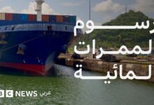 1776121170 46601Aa0 366B 11F1 879D 1B2F5C3919B8 Jpg