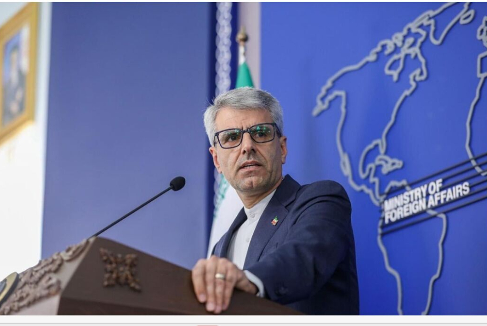 1776122113 411 26031101001281 Org jpg