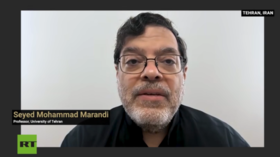 إسرائيل يائسة لتدمير وقف إطلاق النار بين الولايات المتحدة وإيران – أستاذ