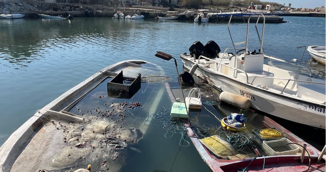 1776173421 69de360342360425007f4481 png