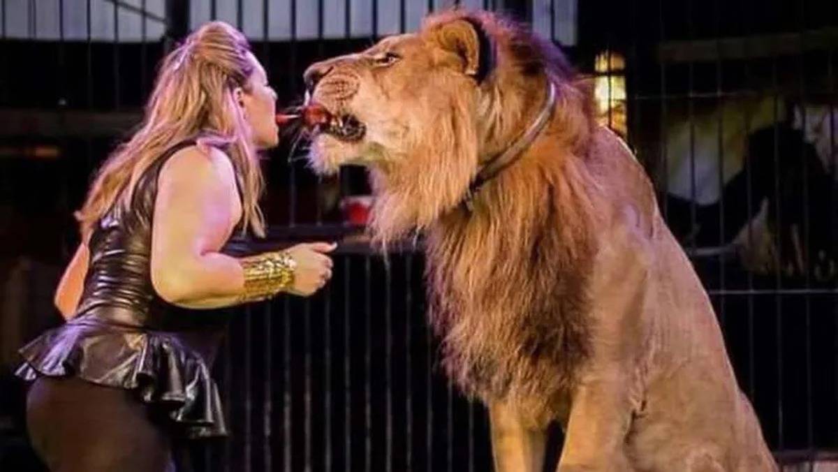 1776308423 69dffb2342360424525bdf0e jpeg