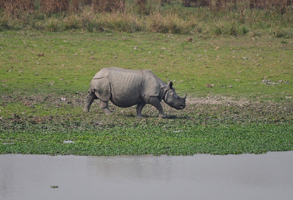 1777129224 69ecb66f4c59b7108a4f368c jpg