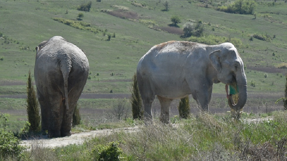 1777366822 69ef092e423604090714e6d5 jpg