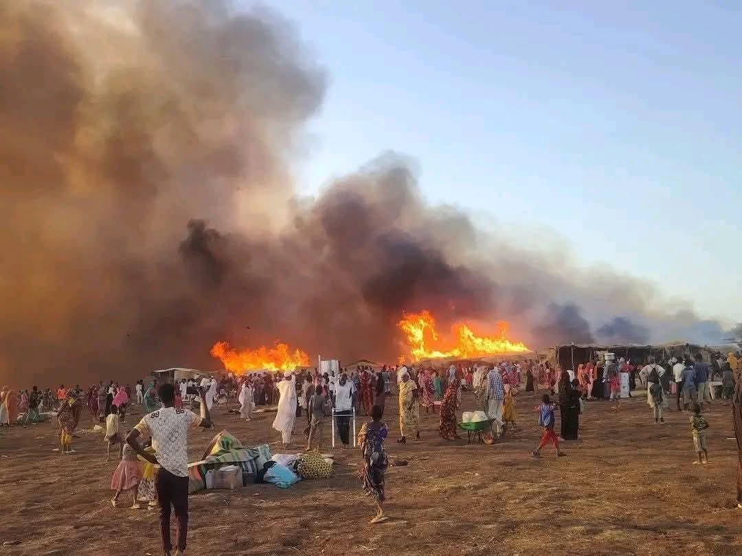 1777453228 69f19ff942360475ed254b47 jpg