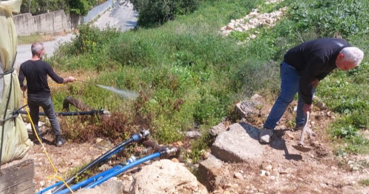 1794363 1777312428 jpg