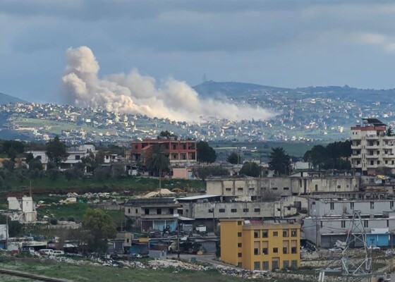 3252452 1776609372 jpg