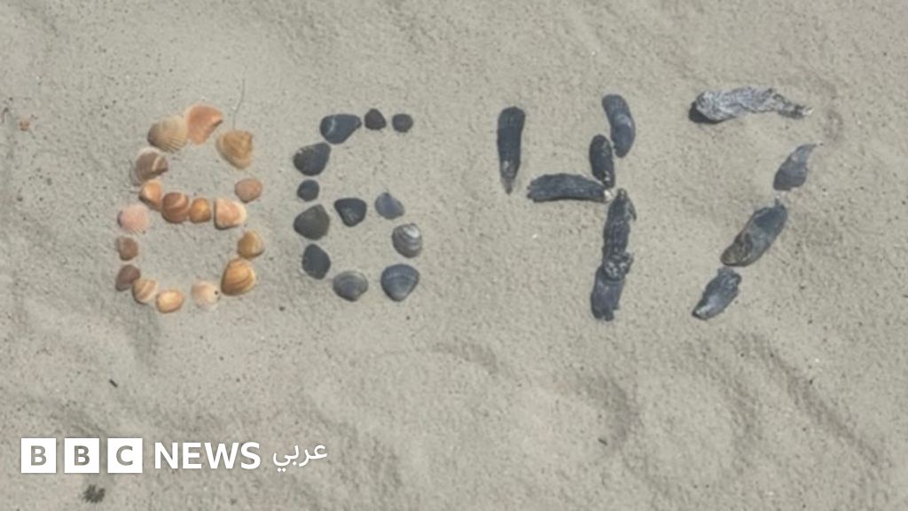 3d0130d0 441b 11f1 bd52 e755d604ece4 jpg